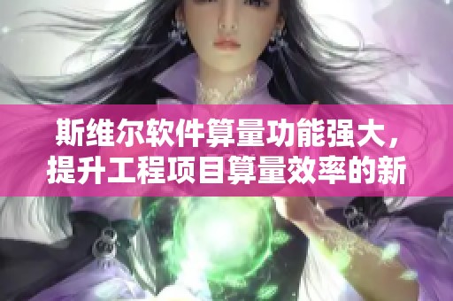 斯维尔软件算量功能强大，提升工程项目算量效率的新选择
