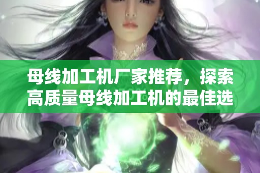 母线加工机厂家推荐，探索高质量母线加工机的最佳选择与服务