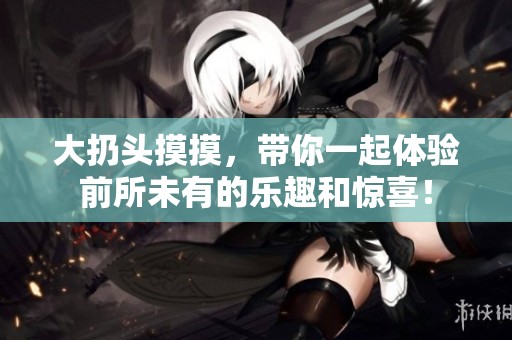 大扔头摸摸，带你一起体验前所未有的乐趣和惊喜！