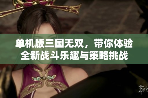 单机版三国无双，带你体验全新战斗乐趣与策略挑战