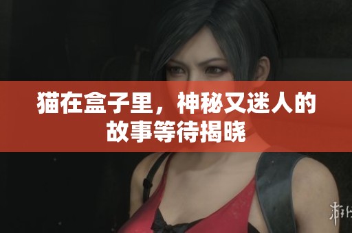 猫在盒子里，神秘又迷人的故事等待揭晓