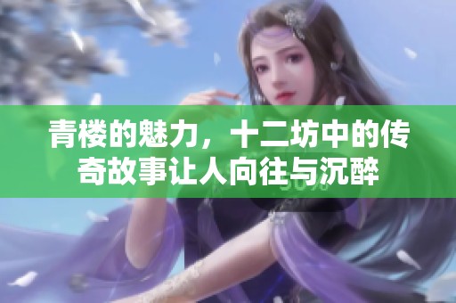 青楼的魅力，十二坊中的传奇故事让人向往与沉醉