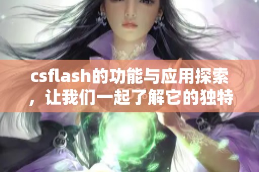 csflash的功能与应用探索，让我们一起了解它的独特魅力与优势所在