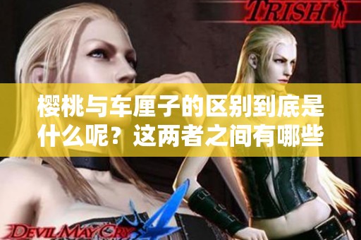 樱桃与车厘子的区别到底是什么呢？这两者之间有哪些不同之处呢？