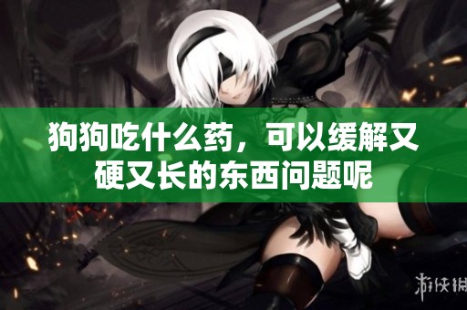 狗狗吃什么药，可以缓解又硬又长的东西问题呢
