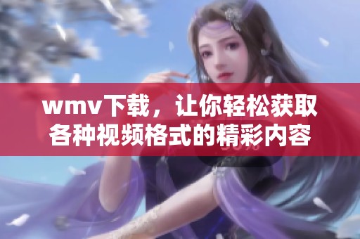 wmv下载，让你轻松获取各种视频格式的精彩内容
