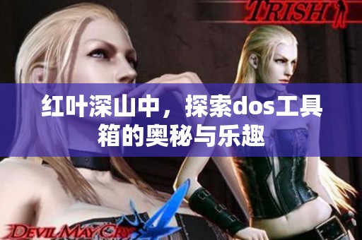 红叶深山中，探索dos工具箱的奥秘与乐趣