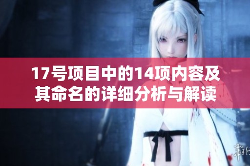 17号项目中的14项内容及其命名的详细分析与解读