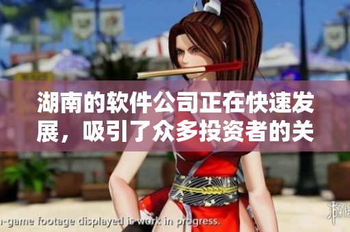 湖南的软件公司正在快速发展，吸引了众多投资者的关注与支持。