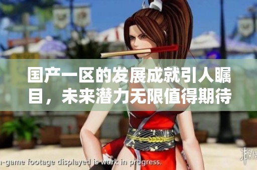国产一区的发展成就引人瞩目，未来潜力无限值得期待