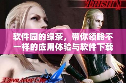 软件园的绿茶，带你领略不一样的应用体验与软件下载乐趣