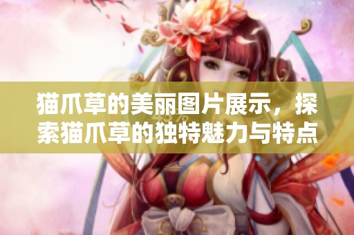 猫爪草的美丽图片展示，探索猫爪草的独特魅力与特点