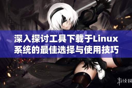 深入探讨工具下载于Linux系统的最佳选择与使用技巧