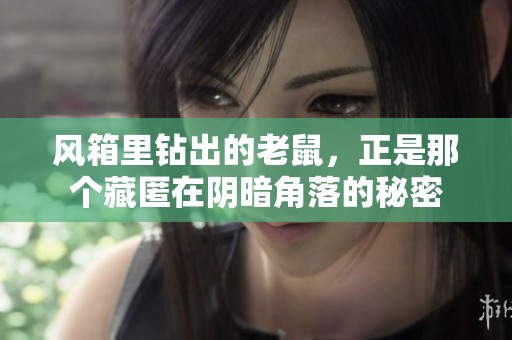 风箱里钻出的老鼠，正是那个藏匿在阴暗角落的秘密