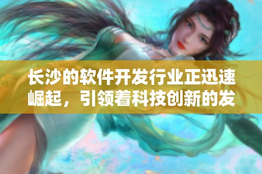 长沙的软件开发行业正迅速崛起，引领着科技创新的发展潮流