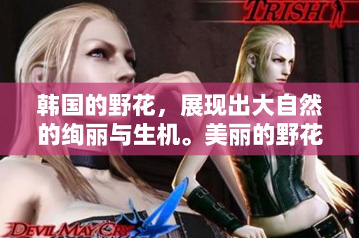 韩国的野花，展现出大自然的绚丽与生机。美丽的野花在韩国大地上竞相绽放。