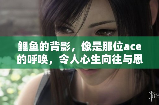 鲤鱼的背影，像是那位ace的呼唤，令人心生向往与思索