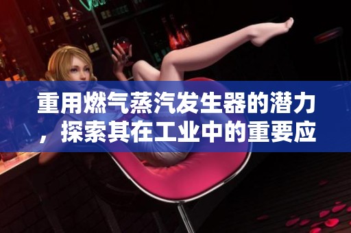 重用燃气蒸汽发生器的潜力，探索其在工业中的重要应用与优势