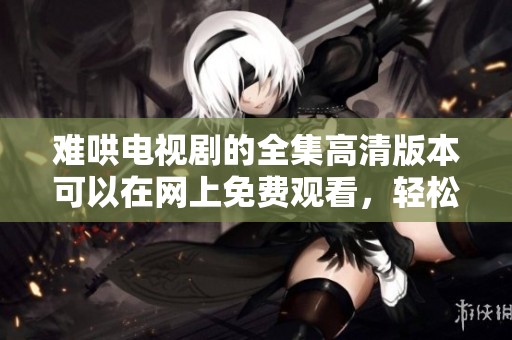 难哄电视剧的全集高清版本可以在网上免费观看，轻松找到想看的资源