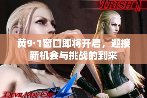 黄9·1窗口即将开启，迎接新机会与挑战的到来
