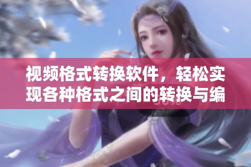 视频格式转换软件，轻松实现各种格式之间的转换与编辑