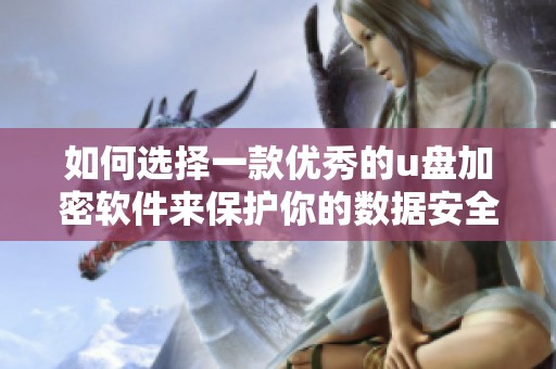 如何选择一款优秀的u盘加密软件来保护你的数据安全