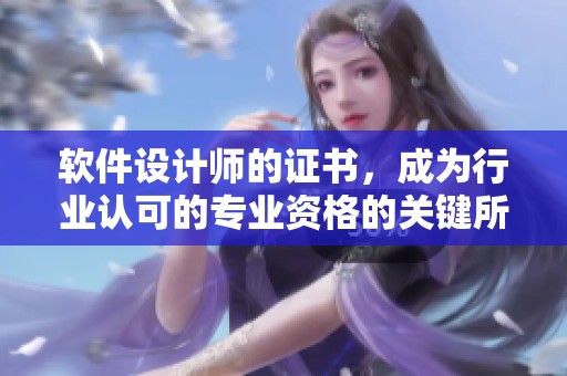软件设计师的证书，成为行业认可的专业资格的关键所在