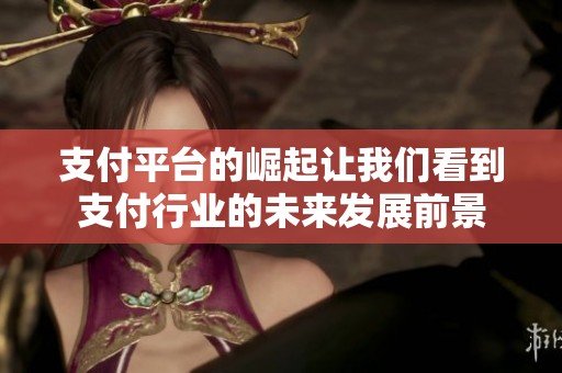 支付平台的崛起让我们看到支付行业的未来发展前景