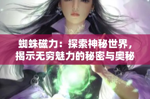蜘蛛磁力：探索神秘世界，揭示无穷魅力的秘密与奥秘