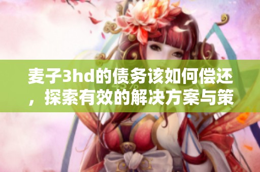麦子3hd的债务该如何偿还，探索有效的解决方案与策略