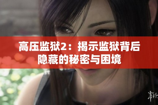 高压监狱2：揭示监狱背后隐藏的秘密与困境