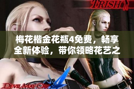 梅花楷金花瓶4免费，畅享全新体验，带你领略花艺之美