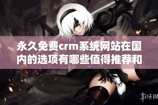 永久免费crm系统网站在国内的选项有哪些值得推荐和使用呢