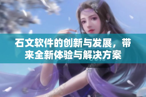 石文软件的创新与发展，带来全新体验与解决方案