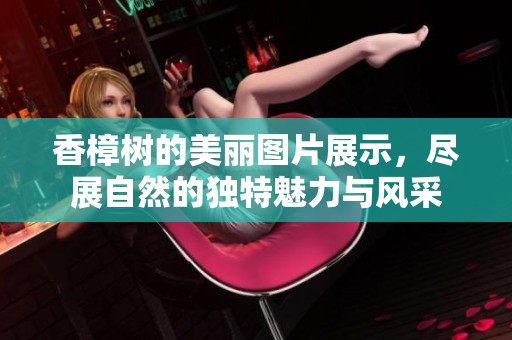 香樟树的美丽图片展示，尽展自然的独特魅力与风采