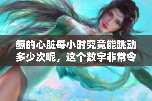 鲸的心脏每小时究竟能跳动多少次呢，这个数字非常令人惊讶