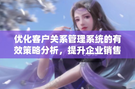 优化客户关系管理系统的有效策略分析，提升企业销售与服务水平