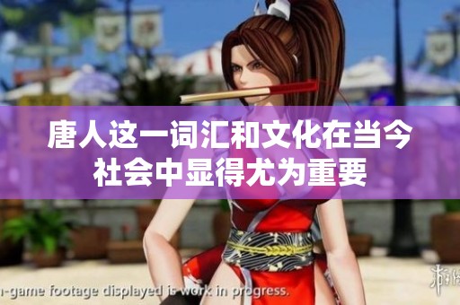唐人这一词汇和文化在当今社会中显得尤为重要