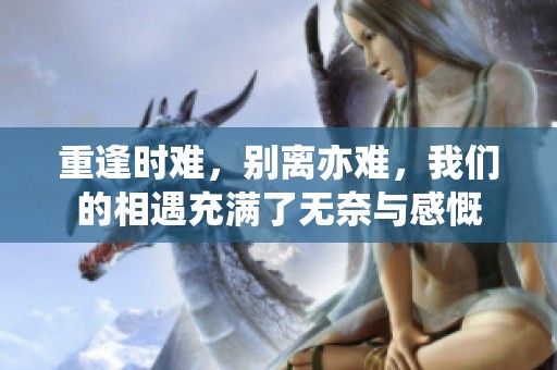 重逢时难，别离亦难，我们的相遇充满了无奈与感慨