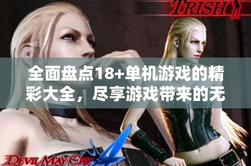 全面盘点18+单机游戏的精彩大全，尽享游戏带来的无限乐趣