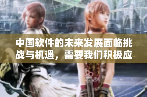 中国软件的未来发展面临挑战与机遇，需要我们积极应对策略