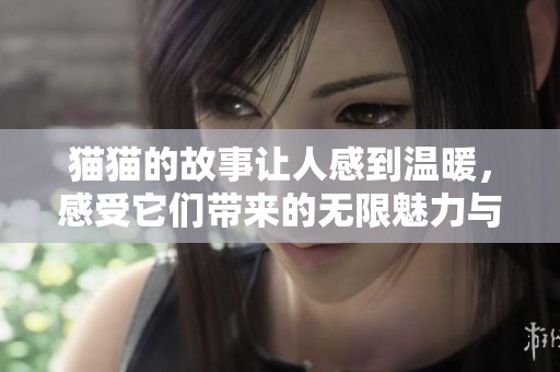 猫猫的故事让人感到温暖，感受它们带来的无限魅力与快乐