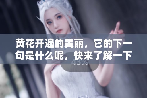 黄花开遍的美丽，它的下一句是什么呢，快来了解一下吧
