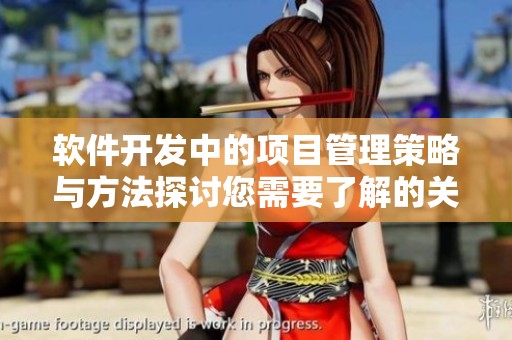 软件开发中的项目管理策略与方法探讨您需要了解的关键要素