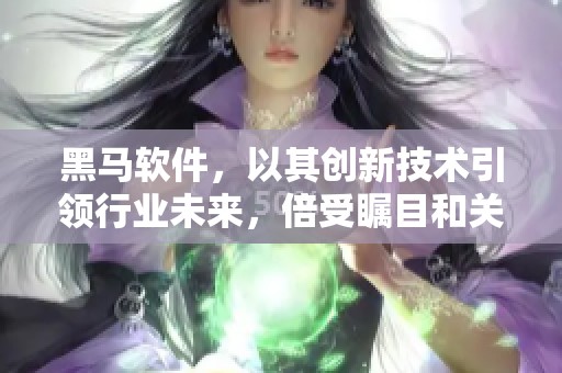 黑马软件，以其创新技术引领行业未来，倍受瞩目和关注