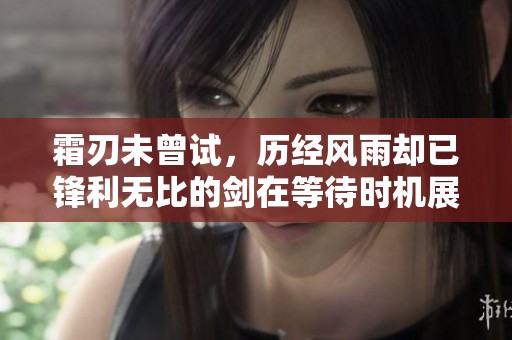 霜刃未曾试，历经风雨却已锋利无比的剑在等待时机展现锋芒