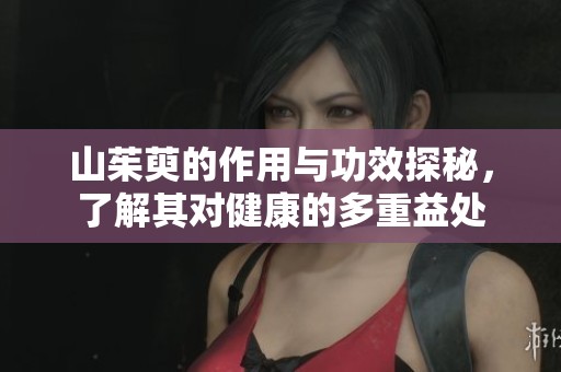 山茱萸的作用与功效探秘，了解其对健康的多重益处