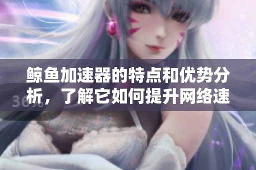鲸鱼加速器的特点和优势分析，了解它如何提升网络速度和稳定性