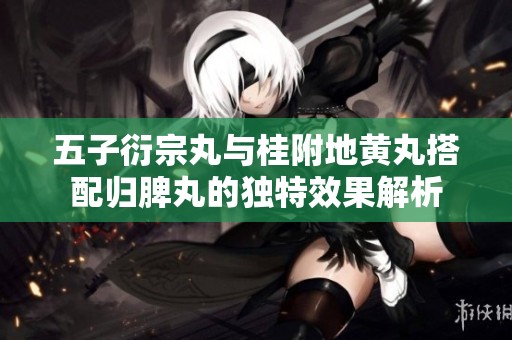 五子衍宗丸与桂附地黄丸搭配归脾丸的独特效果解析