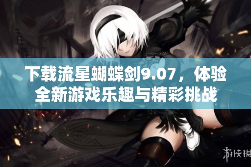 下载流星蝴蝶剑9.07，体验全新游戏乐趣与精彩挑战